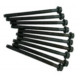 Jogo Parafuso Cabeçote Ford Ecosport Freestyle 1.6 2013 2014