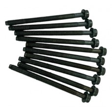 Jogo Parafuso Cabeçote Ford Ecosport Freestyle 1.6 2013 2014