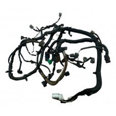 Chicote Injeção Motor Nissan Sentra 2.0 Auto. Gasolina 2008