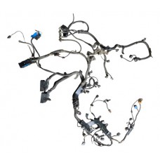 Chicote Injeção Kia Carnival 3.5 V6 2012 2013 2014 2015